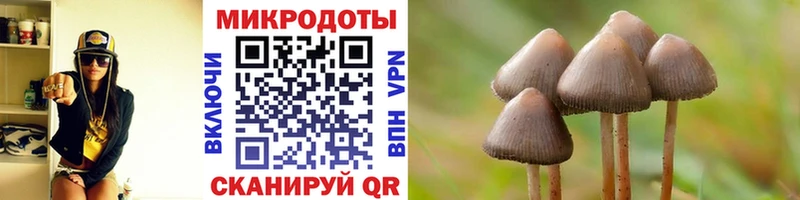 Псилоцибиновые грибы Magic Shrooms  KRAKEN ТОР  Бугульма 